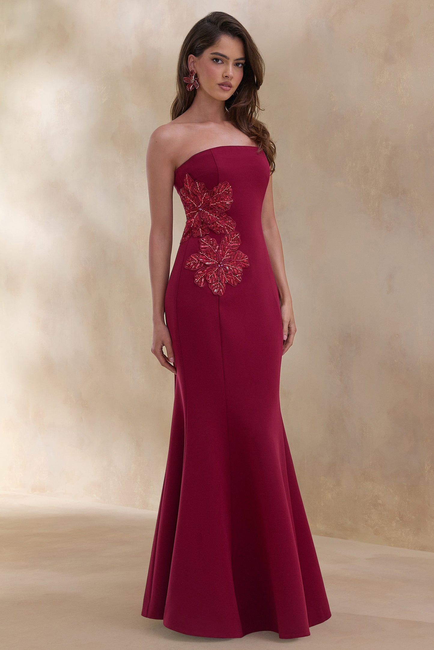 Aylana | Burgundy Bandeau Maxi Dress With Embellished Detail